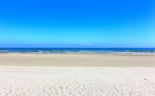 Sandy Paws 123 by RedAwning