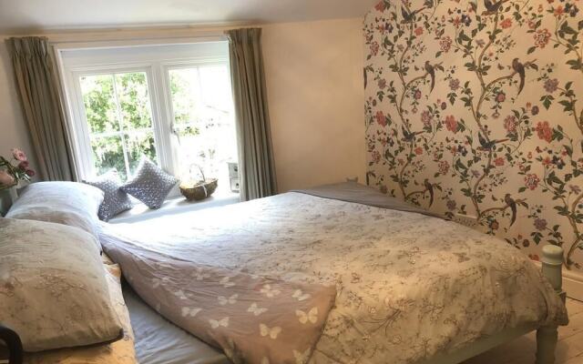 Forest view Bed and Breakfast