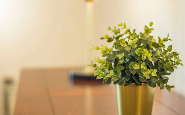 Luxurious 1 Bed Cardiff City Centre Apartment