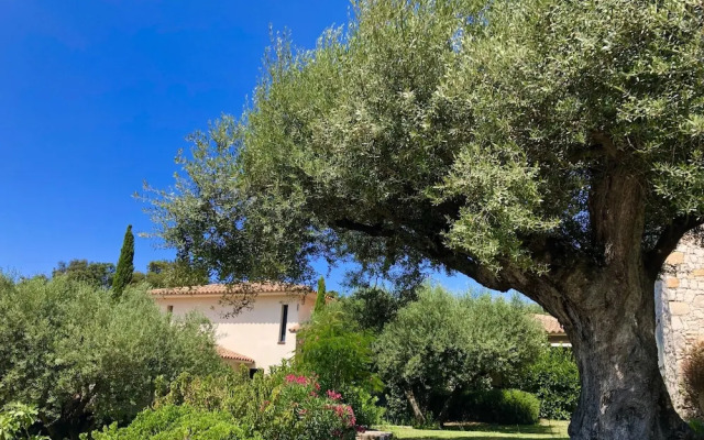 Nature ET Design