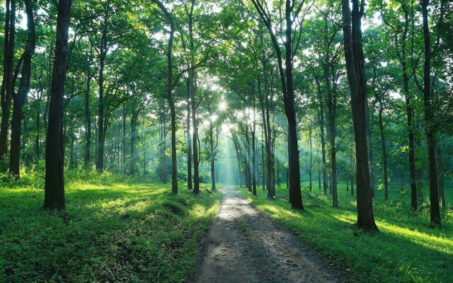 Room in Lodge - Royal Cottage, Anaimalai Room