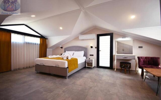 Desen Villa 2