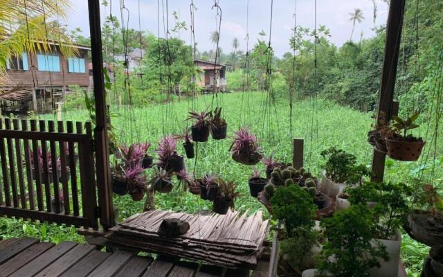 Cast Away  Homestay