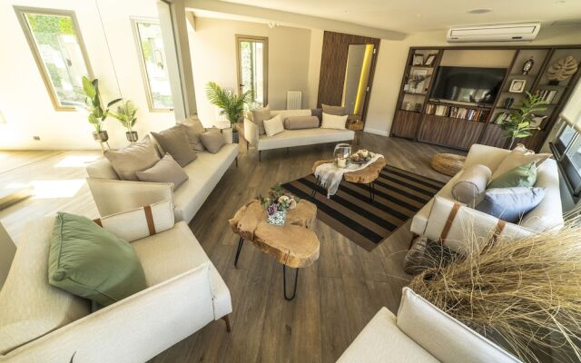 Domingo Hotel Design