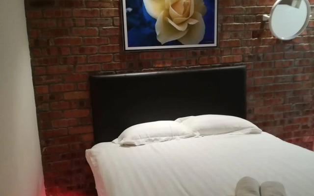 Rock & Roll Hotel