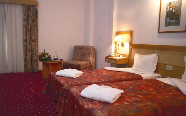 Hotel Rainha D. Amelia, Arts & Leisure