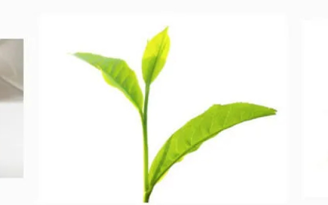 The Inn at Cobbler's Walk Mendocino