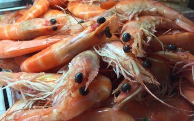 Hotel Fonte de San Roque