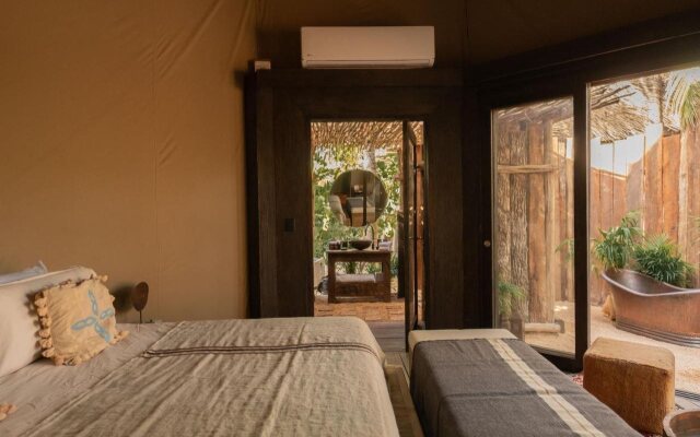 Nomade Holbox