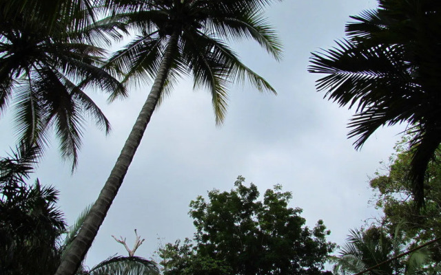 Kachá B&B Beach Front