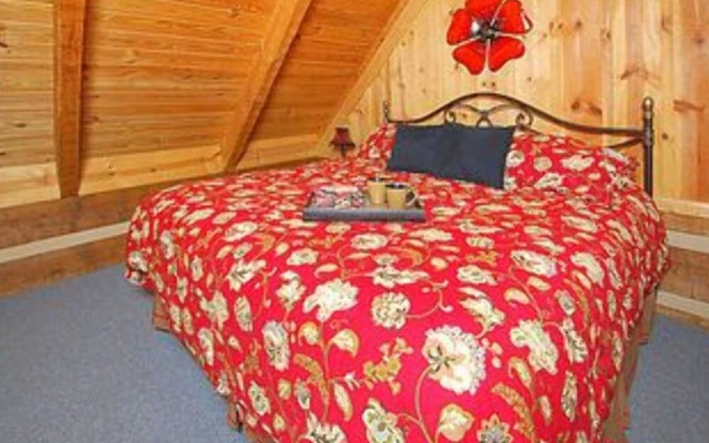 Creek Fever Creek Views