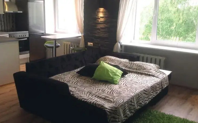 Sunny Studio Apartment