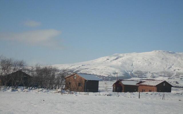 Geysir Hestar