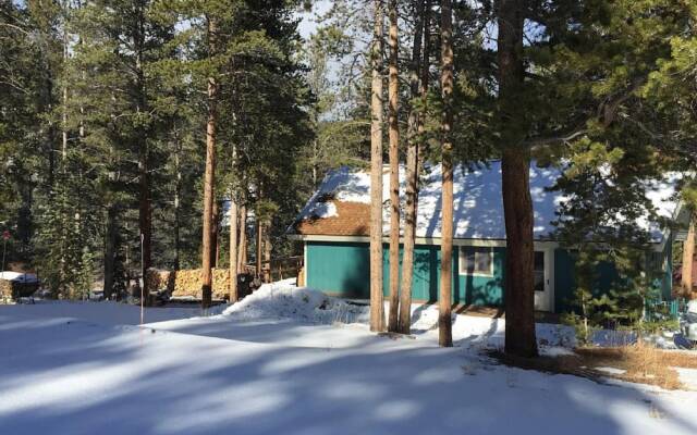 Black Bear Crossing - Pet Friendly - Newly Remodeled