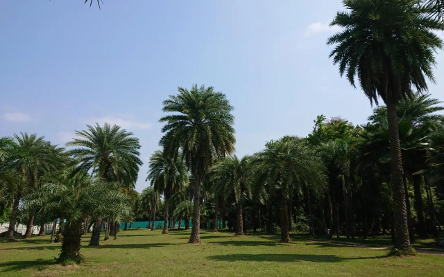 Lopburi Palm Resort