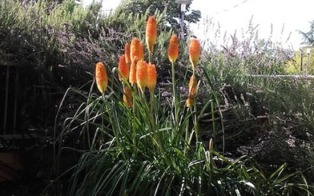 Enzo Apartment With Air-condition and Wi-fi