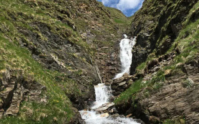 Montanaris