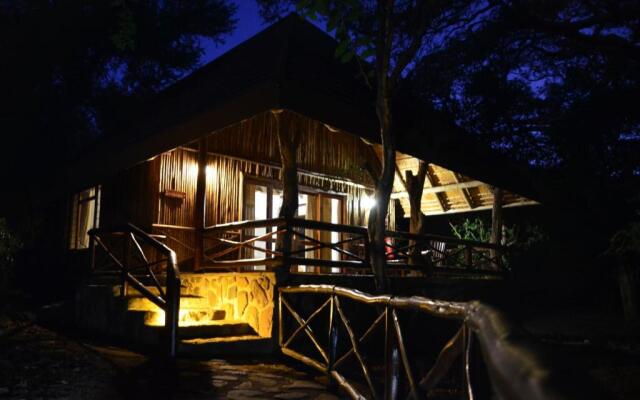 Moholoholo Forest Camp