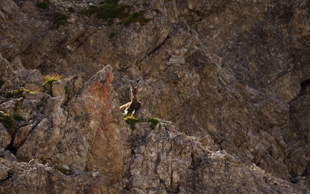 Appart Arlberg