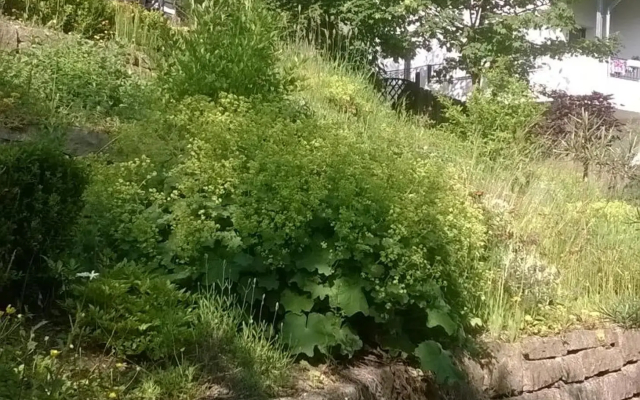 Haus Talblick - Hotel in Schmallenberg - Photo 5