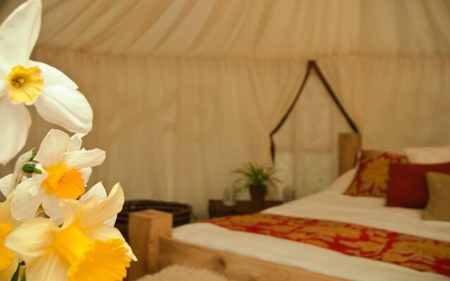 Plush Tents Glamping