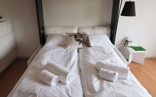 Bouleaux K4 Nendaz in Nendaz