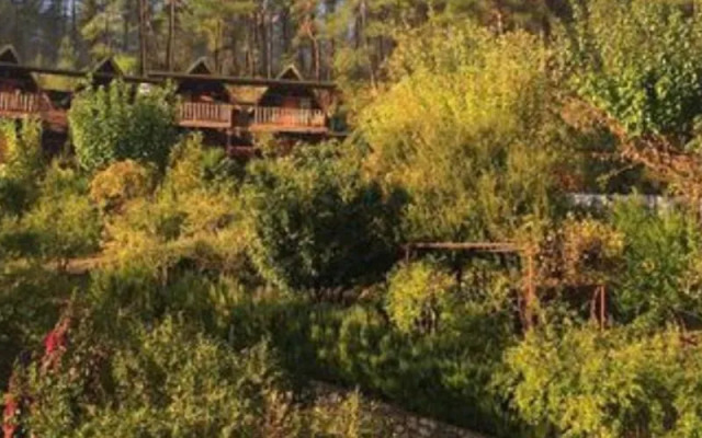 Olympos Otantik Pansiyon