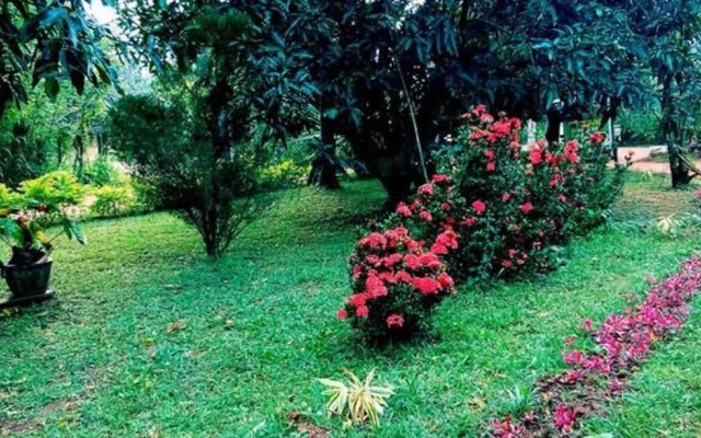 Yoho Mango Tree Home Stay & Hostel