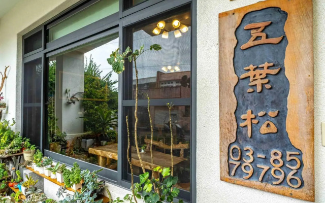 Hualien Pine