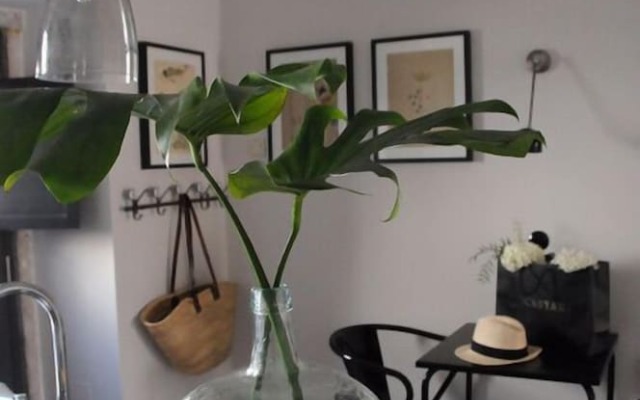 Campo de Santa Clara 98