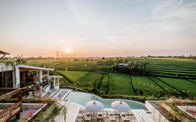 Boho Canggu