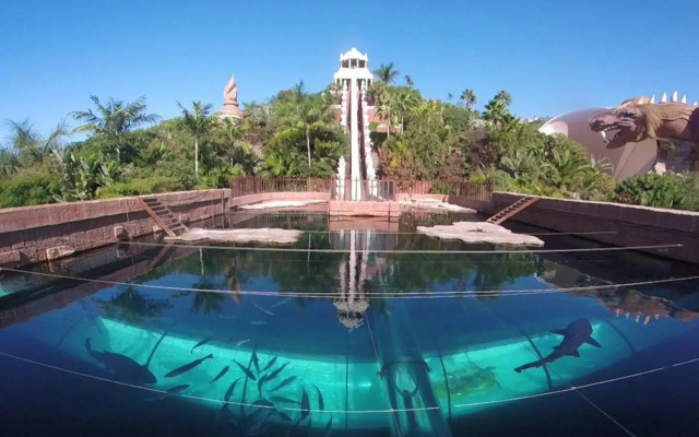 Cozy Apartment Lago Santiago by DreamHomesTenerife