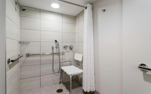 Embassy Suites by Hilton Tampa USF Near Busch Gardens