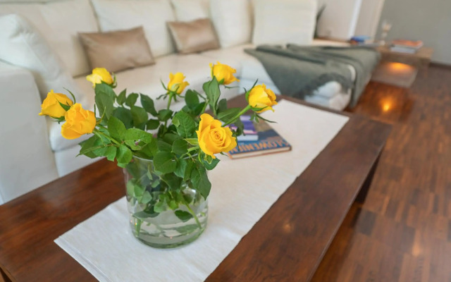 Luxury Apartment Nana