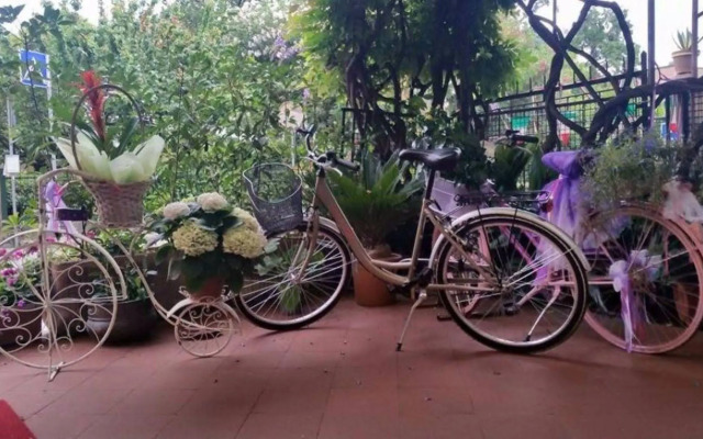 Hotel Stipino