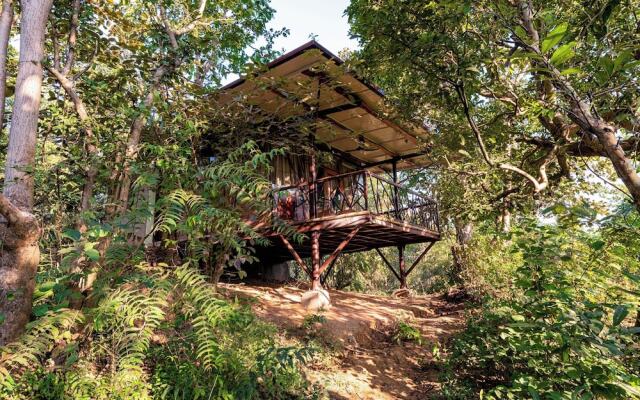 Kanha Jungle Camp
