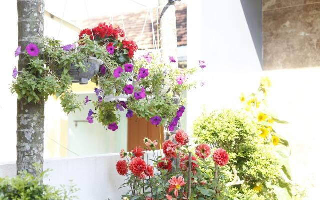 YOLO Apartment Homes