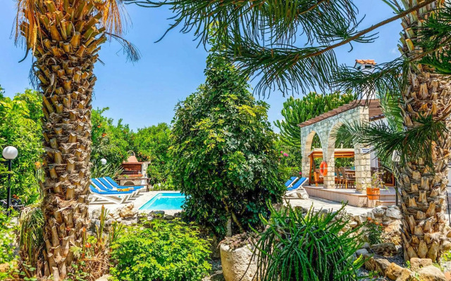Villa Solon in Polis