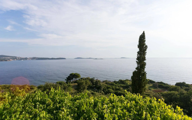 Guest House Fontana