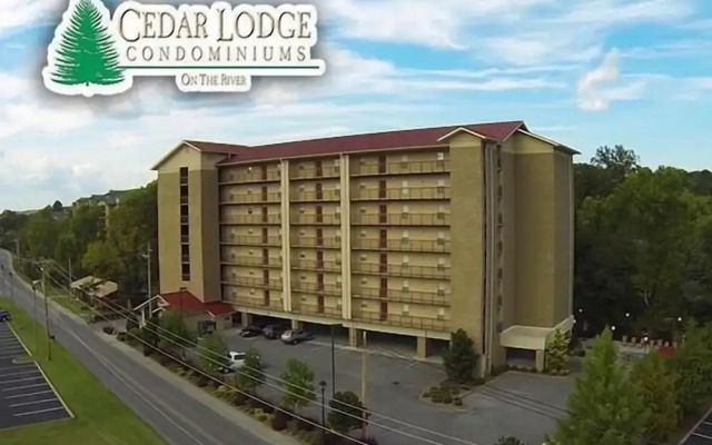 Cedar Lodge 603