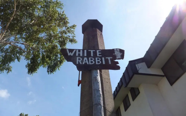 Rental Lodge WHITE RABBIT Madarao kogen Cottage RABBIT