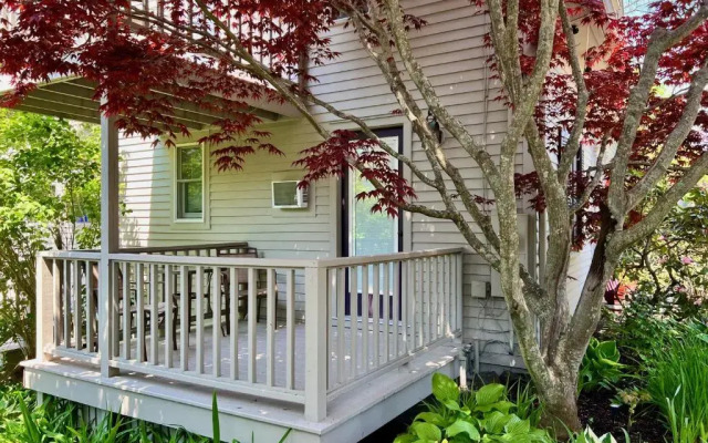 Dragonfly Guest House