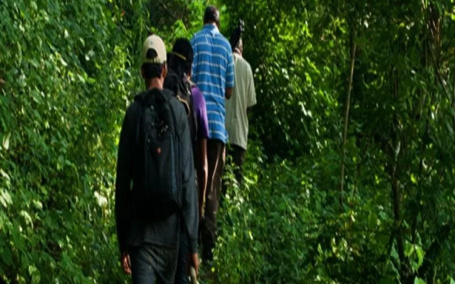 Tranquil Nest Resort - Thandikudi