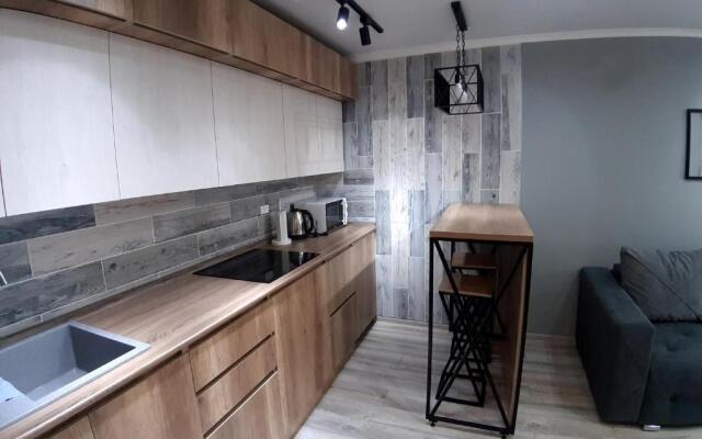 Apartment lux Tolstogo 90. Апартаменты люкс Толстого 90