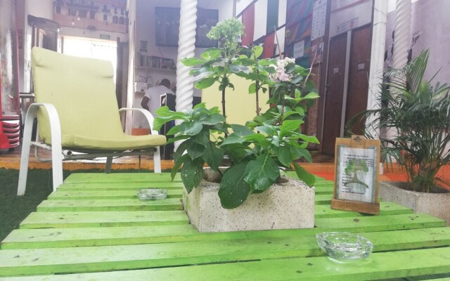 Tree House Hostel
