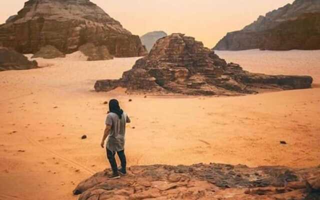 Bedouin habits tours camp