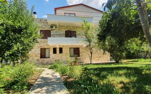 Xho's Forest Guest House