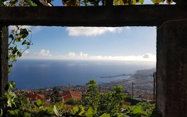City View Gardens