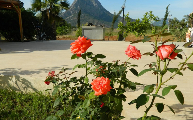 Yonca Butik Hotel