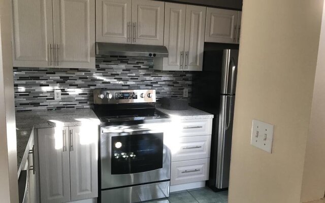 Tz Lake Ontario View